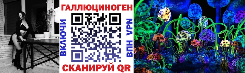 Галлюциногенные грибы Cubensis Кущёвская